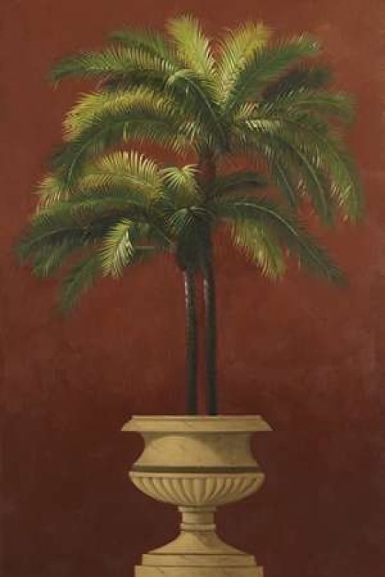 Potted Palm Red III Canvas Art - Welby (24 x 36)