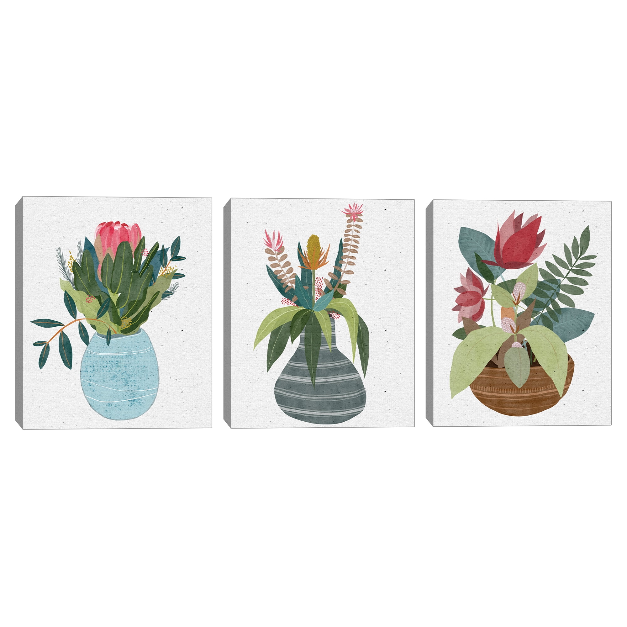 Potted Petals I, II & III by Belle Maison Canvas Art Print