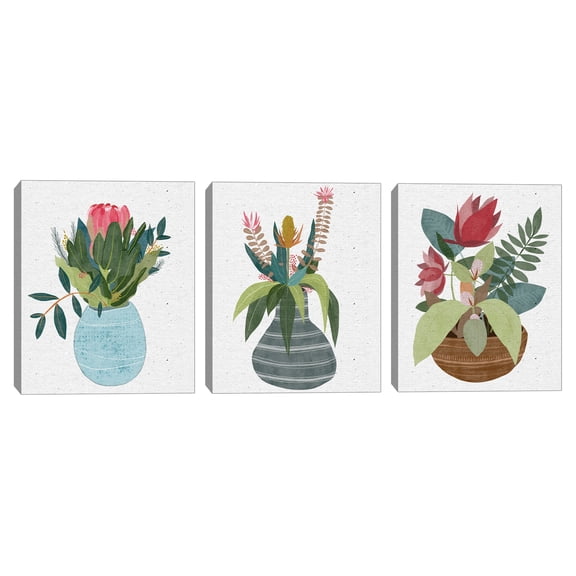 Potted Petals I, II & III by Belle Maison Canvas Art Print