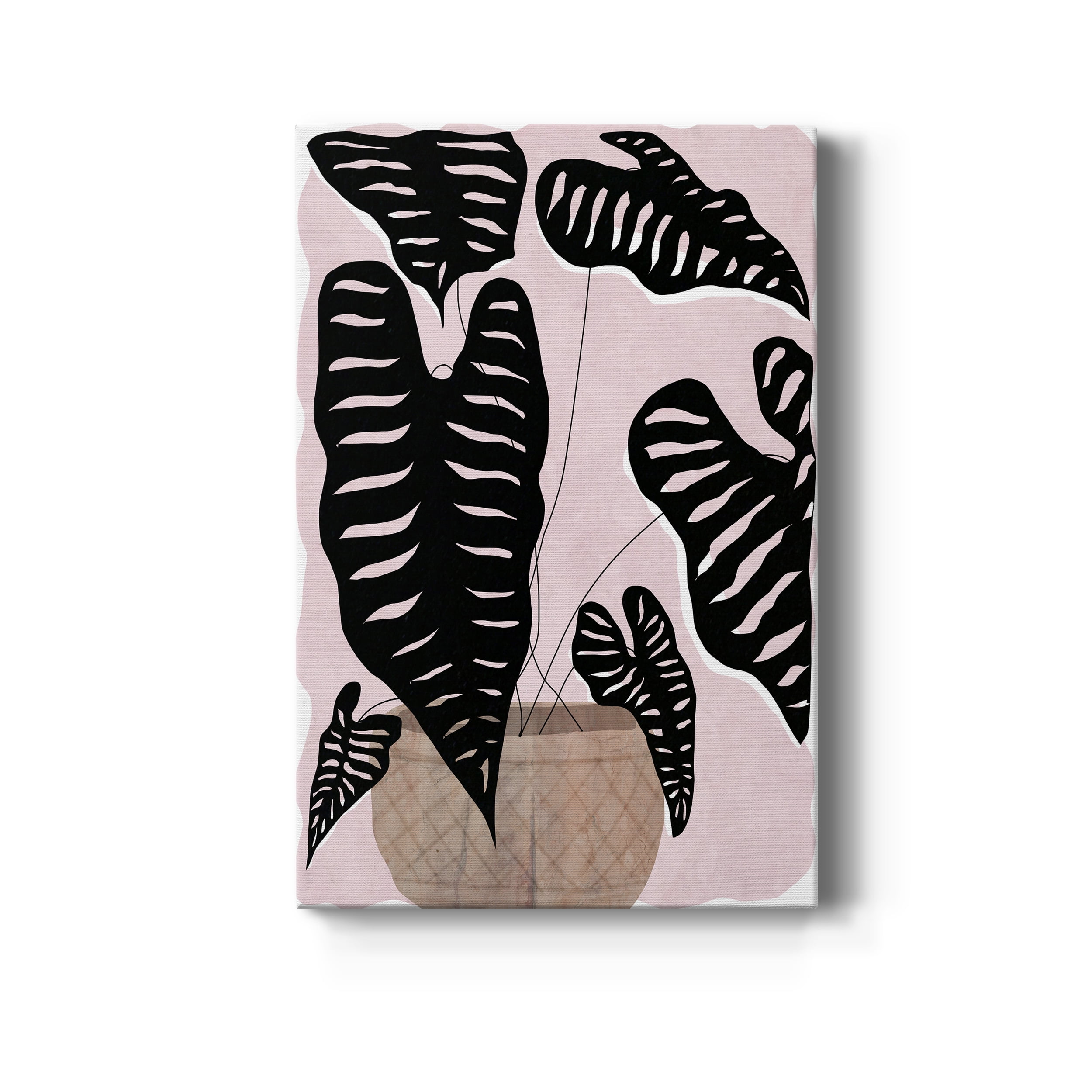 Potted Plant II Premium Gallery Wrapped Canvas - Ready to Hang - 12 x 18