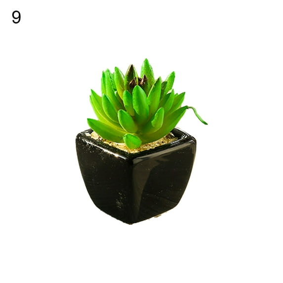 Potted Plant Simulated Easy to Care Mini Assorted Decorative Succulent Artificial Pot for Home Black Ceramic