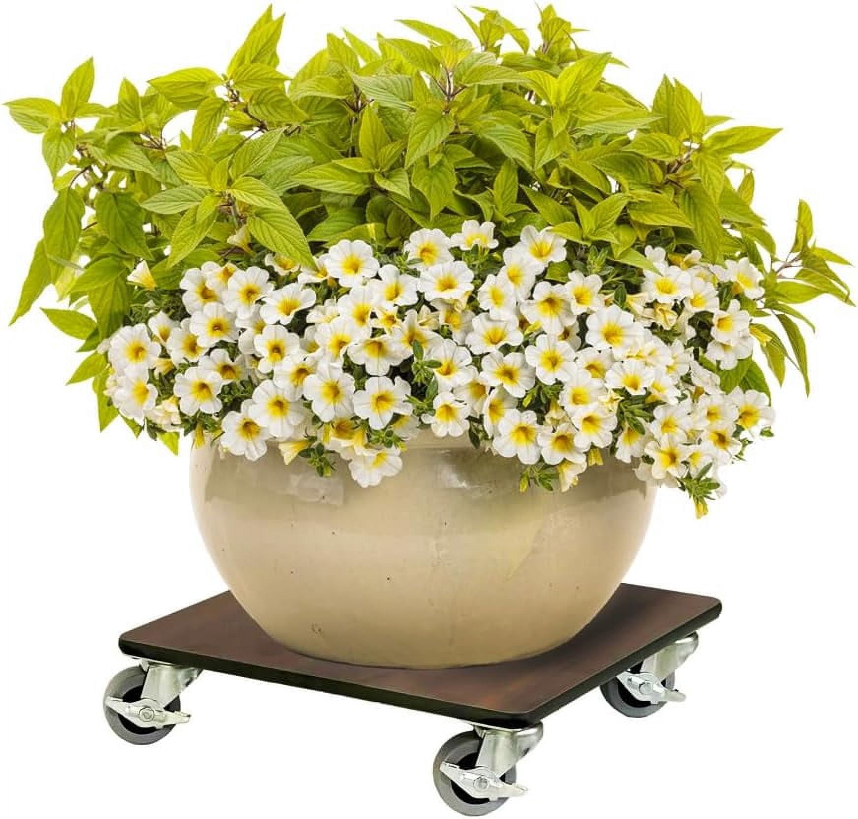 potted-plant-stand-with-wheels-12-x12-x4-indoor-outdoor-heavy-duty