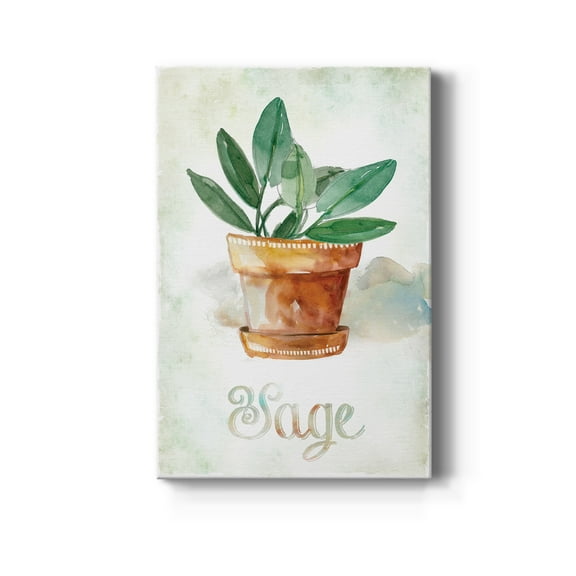 Potted Sage Premium Gallery Wrapped Canvas - Ready to Hang - 8 x 12