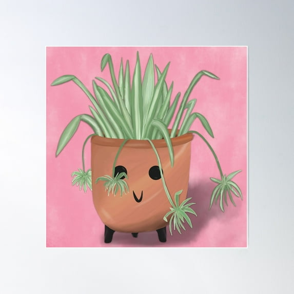 Potted Spider Plant Buddy Poster Wall Art, Modern Wall Decor For Living Room Bedroom, 24x24 UNFRAMED