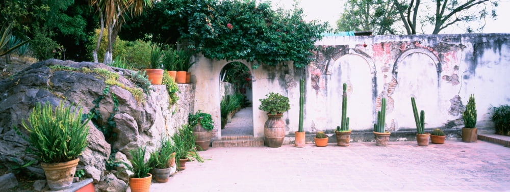 Potted plants in courtyard of a house San Miguel De Allende Guanajuato Mexico Canvas Art - Panoramic Images (36 x 12)