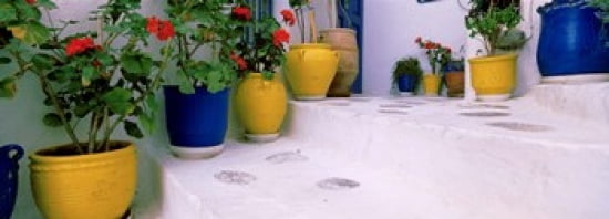 Potted plants on steps Mykonos Cyclades Islands Greece Canvas Art - Panoramic Images (36 x 13)