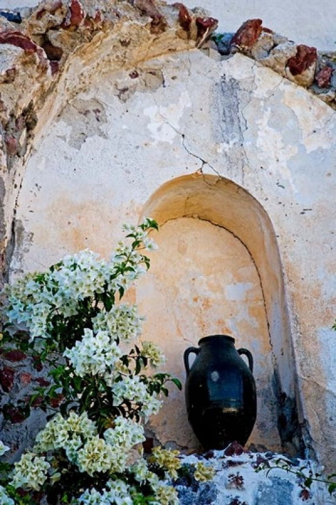 Pottery and Flowering Vine Oia Santorini Greece Canvas Art - Darrell Gulin DanitaDelimont (11 x 17)