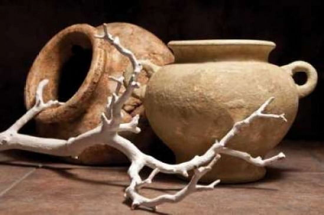 Pottery with Branch II Canvas Art - C Thomas McNemar (24 x 36)