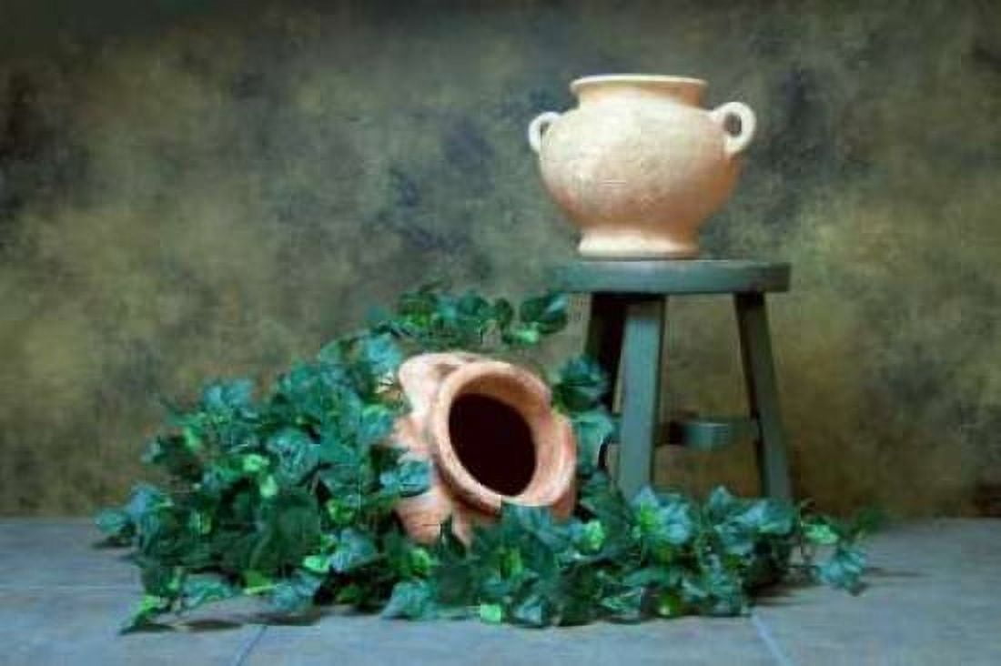 Pottery with Ivy I Canvas Art - C Thomas McNemar (12 x 18)