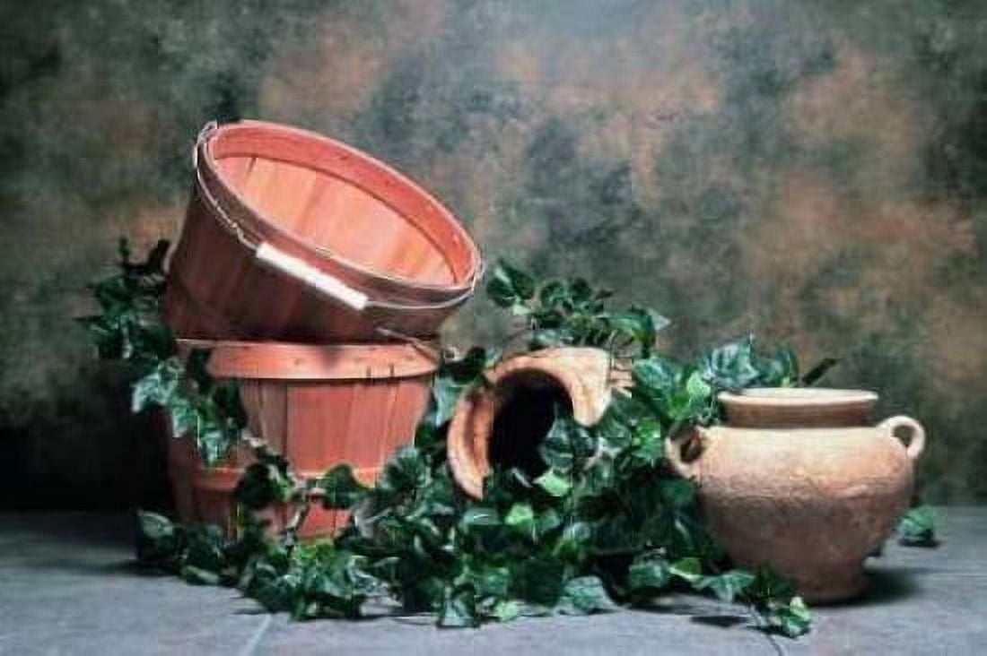 Pottery with Ivy II Canvas Art - C Thomas McNemar (24 x 36)