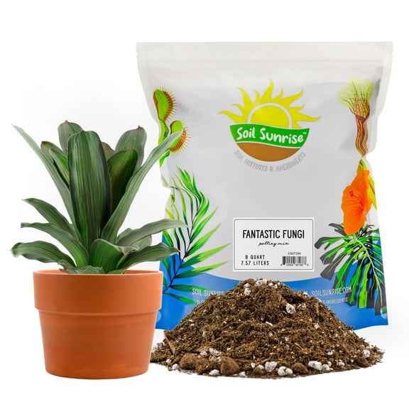 Potting Soil with Mycorrhizae (8 Quarts), Fantastic Fungi Potting Mix, Myco-Infused Potting Soil for Container Gardening and Seed Starting, All-Natural