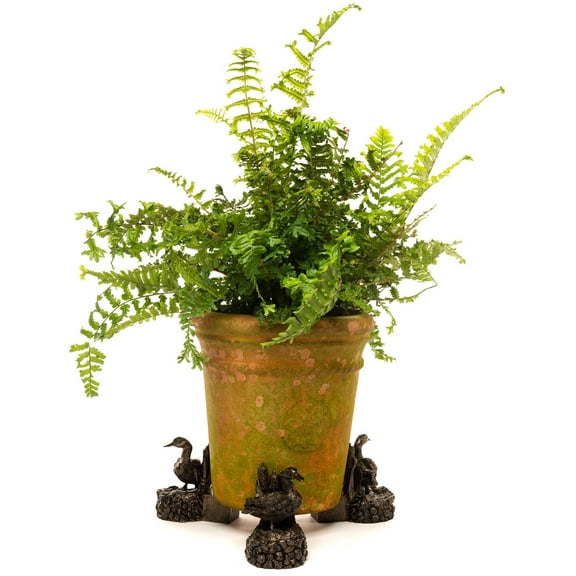 Potty Feet Mallard Duck Themed Plant Pot Feet Antique Bronze Color - Set of 3