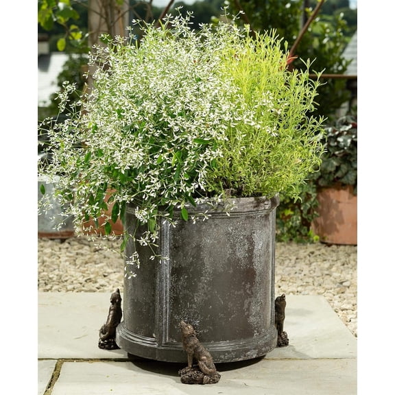 Potty Feet Wolf Figures Pot Feet Planter Riser - Pot Support Feet - Handmade Yard Art Ornaments - 3pcs