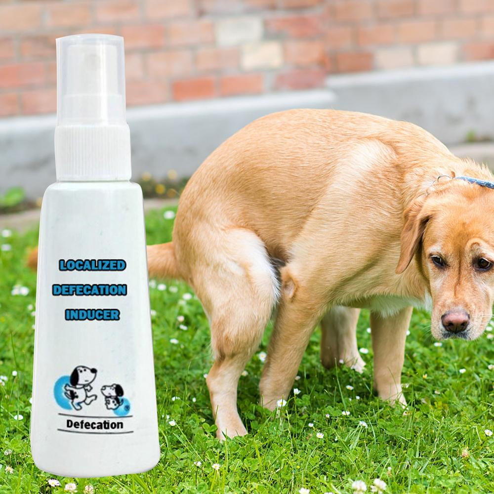 Potty Here Training Aid Spray Attractive Scent Helps Train Puppies & Dogs Where To Potty