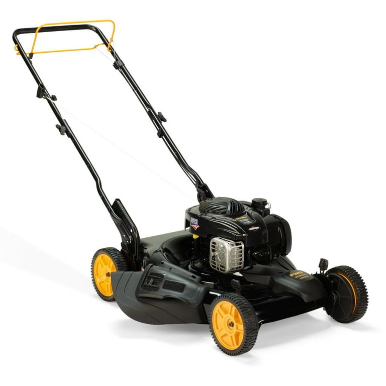 Poulan Pro 22