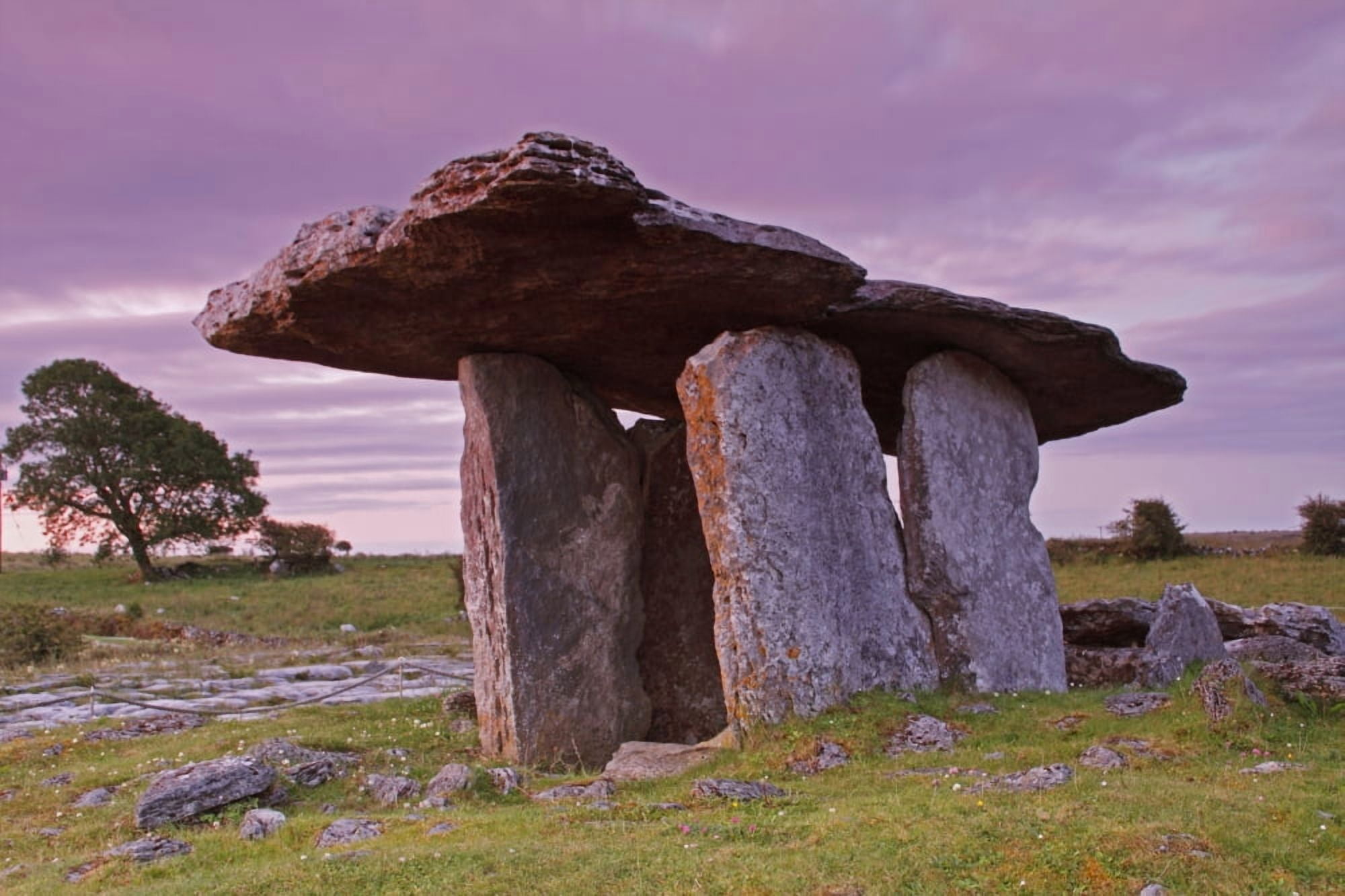 Poulnabrone Portal Dolmen In The Burren Region County Clare Ireland Canvas Art - Trish Punch Design Pics (38 x 24)