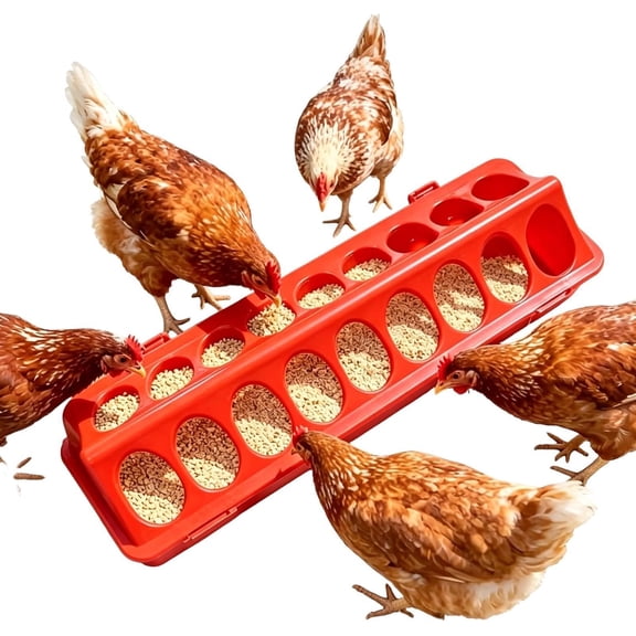 Poultry Feeder Multi Hole Anti Spill Long Trough for Chickens Ducks Farm