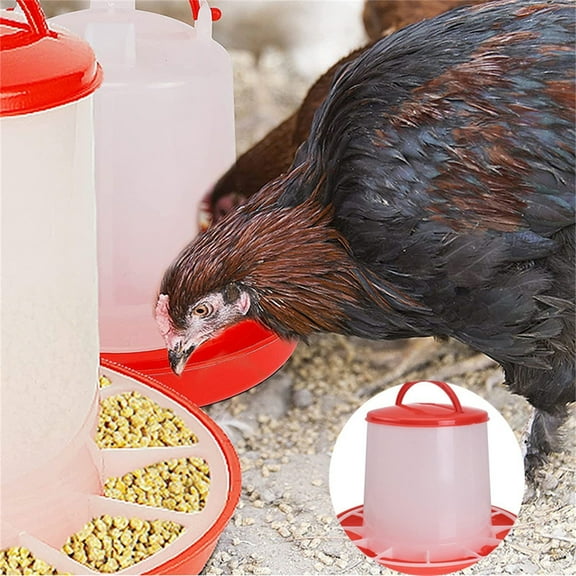 Poultry Feeder Plastic Poultry Feeder Chicken Feed Dispenser Auto Food Container with Lid Handle for Hen Duck Goose Farm Feeding Chicken Feeder