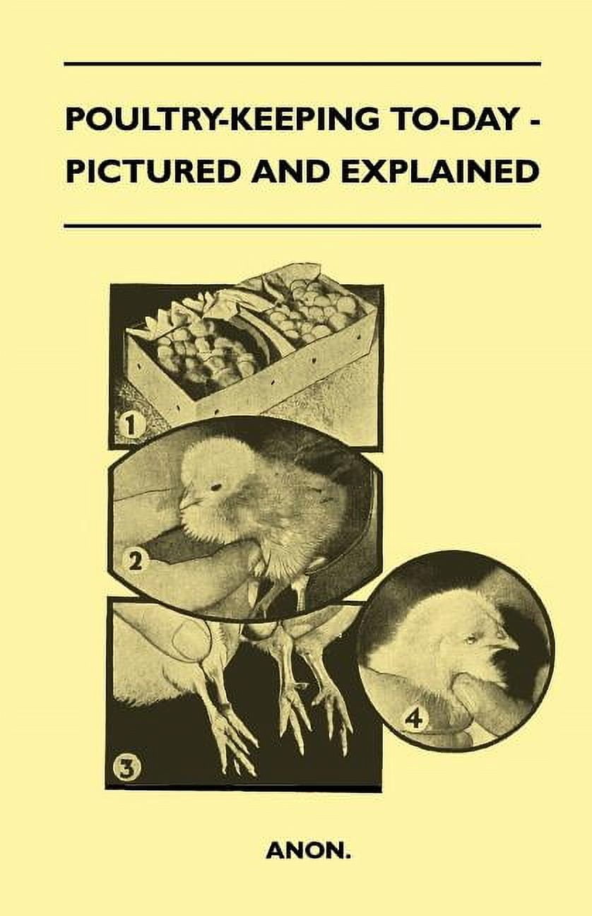 Poultry-Keeping To-Day - Pictured And Explained (Paperback)