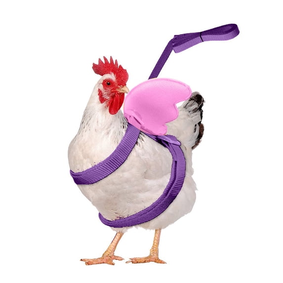 Poultry Outdoor Walking Safety Harness Adjustable Duck Chicken Outdoor Activity Strap Comfortable Wearable Farm Poultry Going Out Control Belt Backyard Livestock Daily Outside Movement Accessory