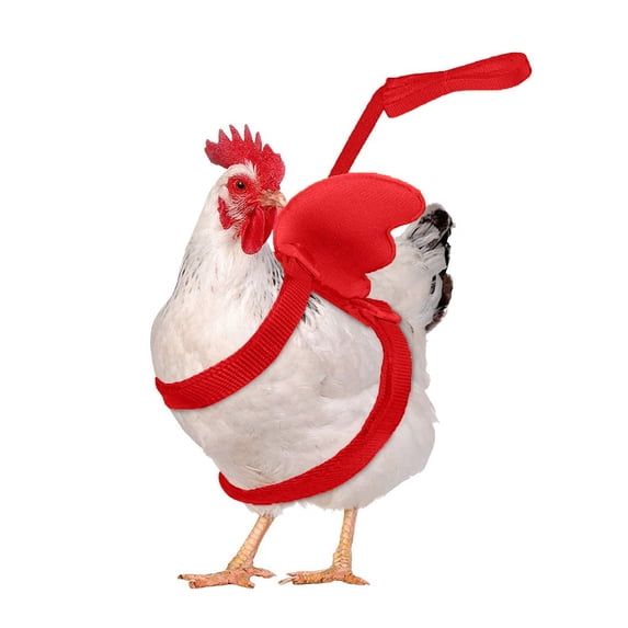 Poultry Outdoor Walking Safety Harness Adjustable Duck Chicken Outdoor Activity Strap Comfortable Wearable Farm Poultry Going Out Control Belt Backyard Livestock Daily Outside Movement Accessory