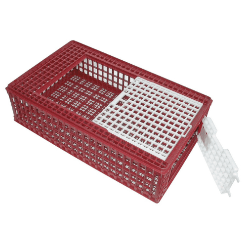 Poultry transport box, plastic
