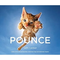 Pre-Owned Pounce (Hardcover) 0316349224 9780316349222