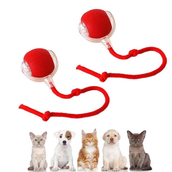 Pouncepal Upgrade Cat Toy USB Charge, 360° Smart Automatic Rolling Three Modes, Fast Charging and Long Lasting, Adaptable to All Cats
