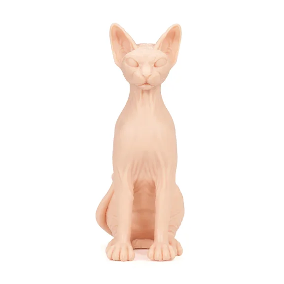 Pound of Flesh - Naked Cat Tattoo Practice Skin - Realistic Synthetic Skin for Tattooing, Art, and Training