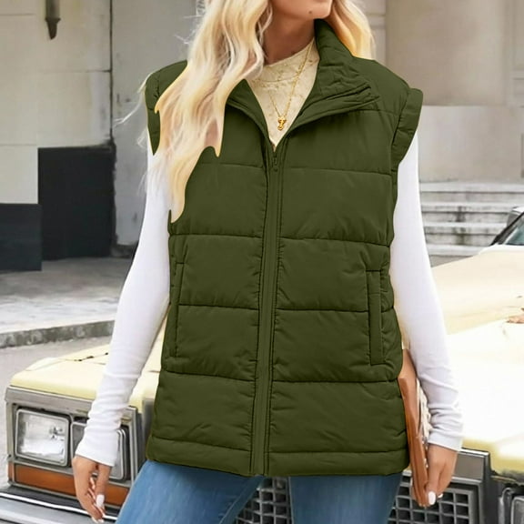 Pounoo Gift Puffer Vest for Women Winter Zip Up Outwear Jacket Cropped Sleeveless Lightweight Fashion Fall Coat with Pockets