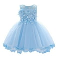 thumbnail image 1 of Povozer Baby Girls Princess Dress Flower Lace Dress Toddler Tulle Sleeveless Dress(Sky Blue,3-6M), 1 of 6
