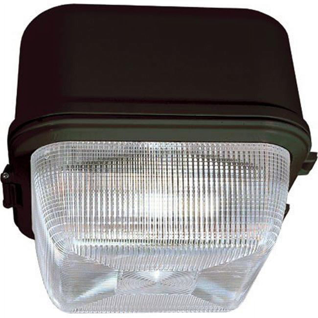 Powder Coated Cast Aluminum Medium Square Ceiling Fixture - 70W 120V ...