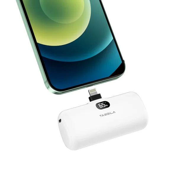 Power Bank Portable Cell Phone Battery, 4800mAh Portable Cell Phone