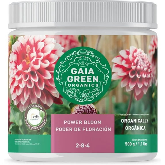 Power Bloom, 500 Gram