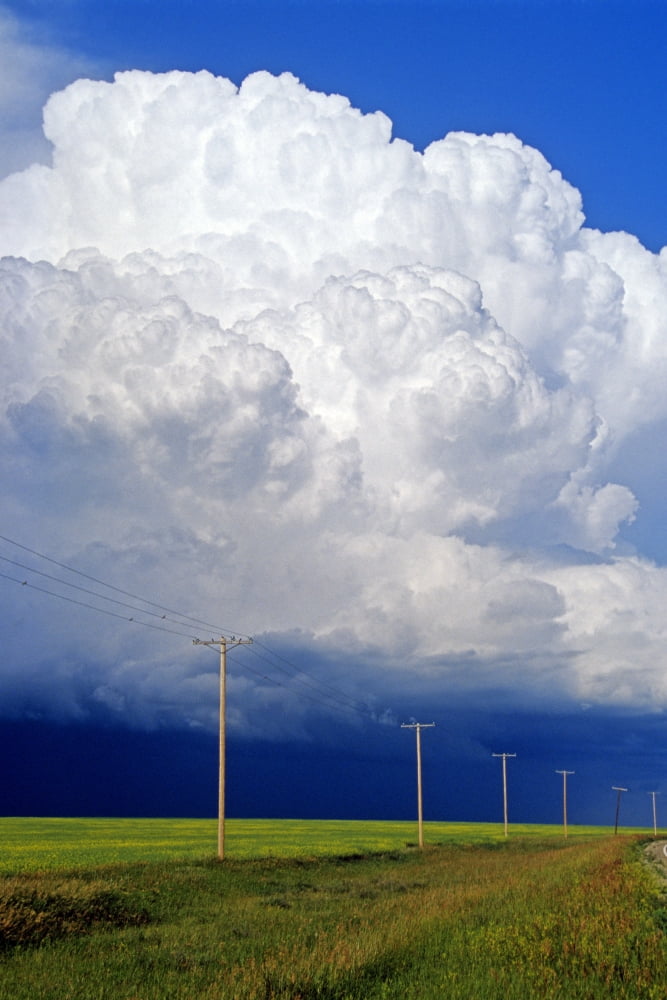 Power Lines With A Cumulonimbus Supercell Cloud Mass Near Bromhead Saskatchewan Canvas Art - Dave Reede Design Pics (22 x 34)