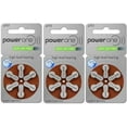 thumbnail image 1 of Power One Size P312, 2 Pack (120 Batteries), 1 of 3