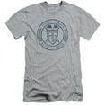 thumbnail image 1 of Power Rangers Angel Grove Hs Adult 30/1 T-Shirt Athletic Heather, 1 of 1