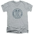 thumbnail image 1 of Power Rangers Angel Grove Hs Adult V-Neck T-Shirt 30/1 T-Shirt Athletic Heather, 1 of 1
