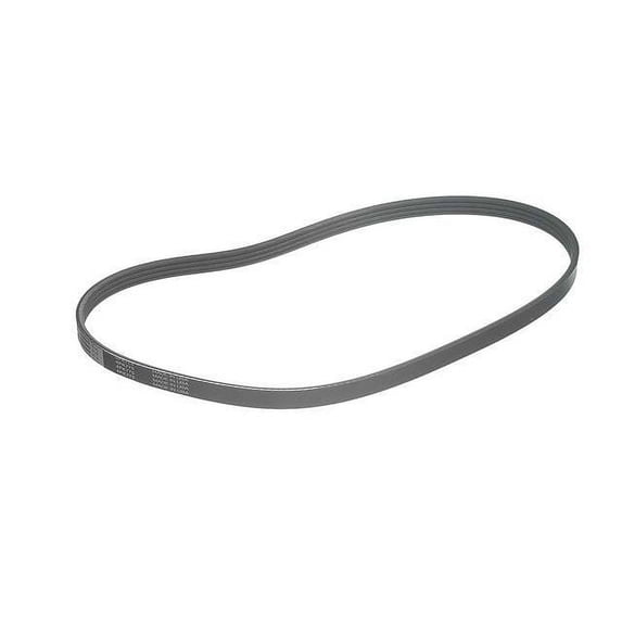 Power Steering Multi Rib Belt - Compatible with 1996 - 2001 INFINITI I30 1997 1998 1999 2000