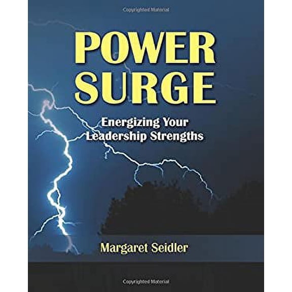 Pre-Owned Power Surge: A Conduit for Enlightened Leadership (Paperback) 1599961628 9781599961620