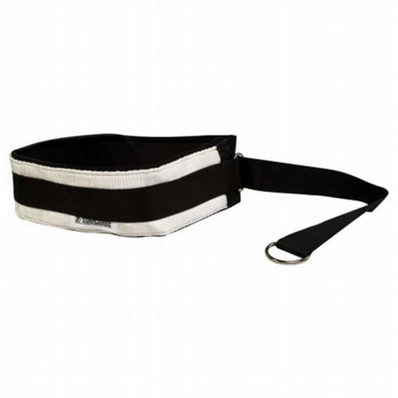 Power Systems 21572 Pro Waist Belt Cinch Strap