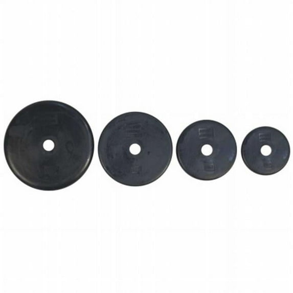 Power Systems Standard Rubber Plate 5 lb., 61637
