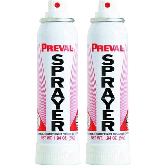 Preval 267 Complete Power Spray System Paint Sprayer Unit, 16 oz, Pack of 2