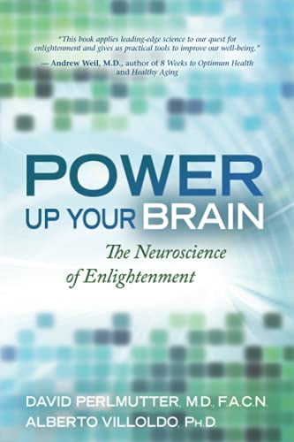 Pre-Owned Power Up Your Brain (Paperback 9781401928186) by David Perlmutter, Alberto Villoldo