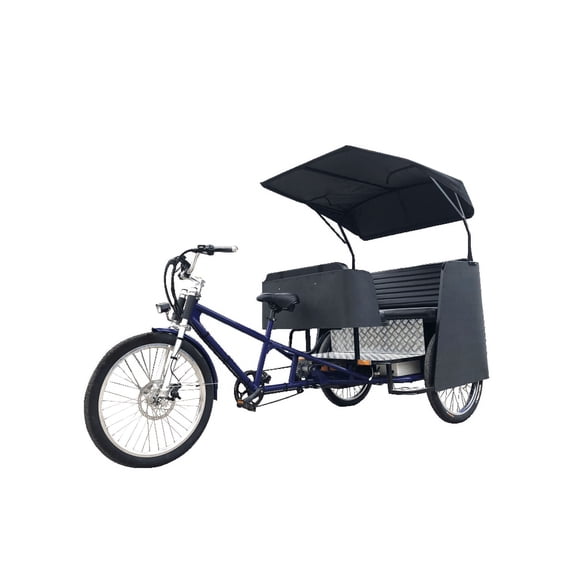 Electric Rickshaws and Tricycles for Efficient Outdoor Transport