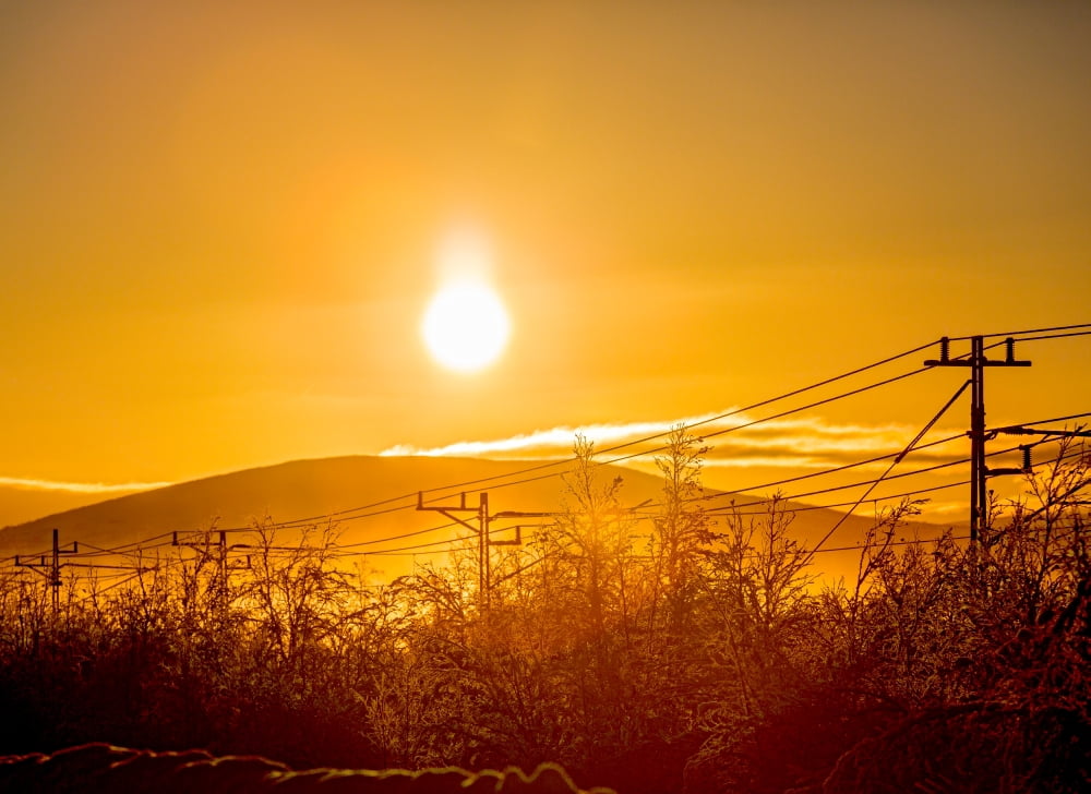 Power lines and trees in the frozen landscape at sunset Cold temperatures as low as -47 celsius Lapland Sweden Canvas Art - Panoramic Images (36 x 12)