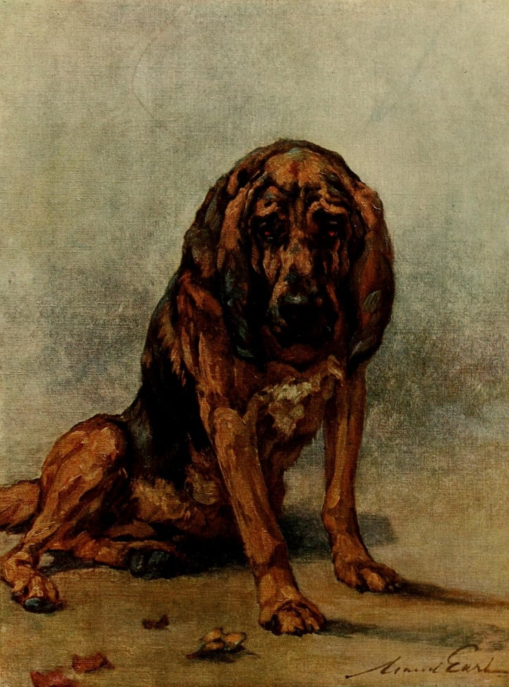 Power of the Dog 1910 Bloodhound Canvas Art - Maud Earl (18 x 24)