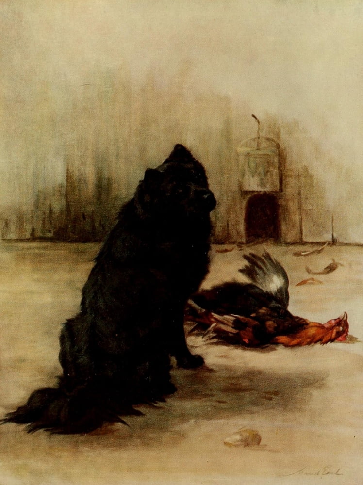 Power of the Dog 1910 Chow Chow Canvas Art - Maud Earl (18 x 24)