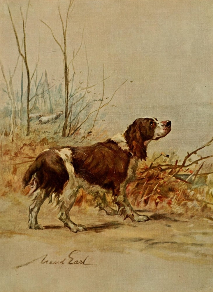 Power of the Dog 1910 English Springer Spaniel Canvas Art - Maud Earl (24 x 36)