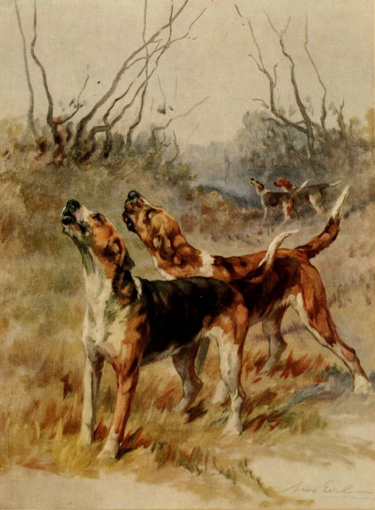 Power of the Dog 1910 Foxhounds Canvas Art - Maud Earl (24 x 36)